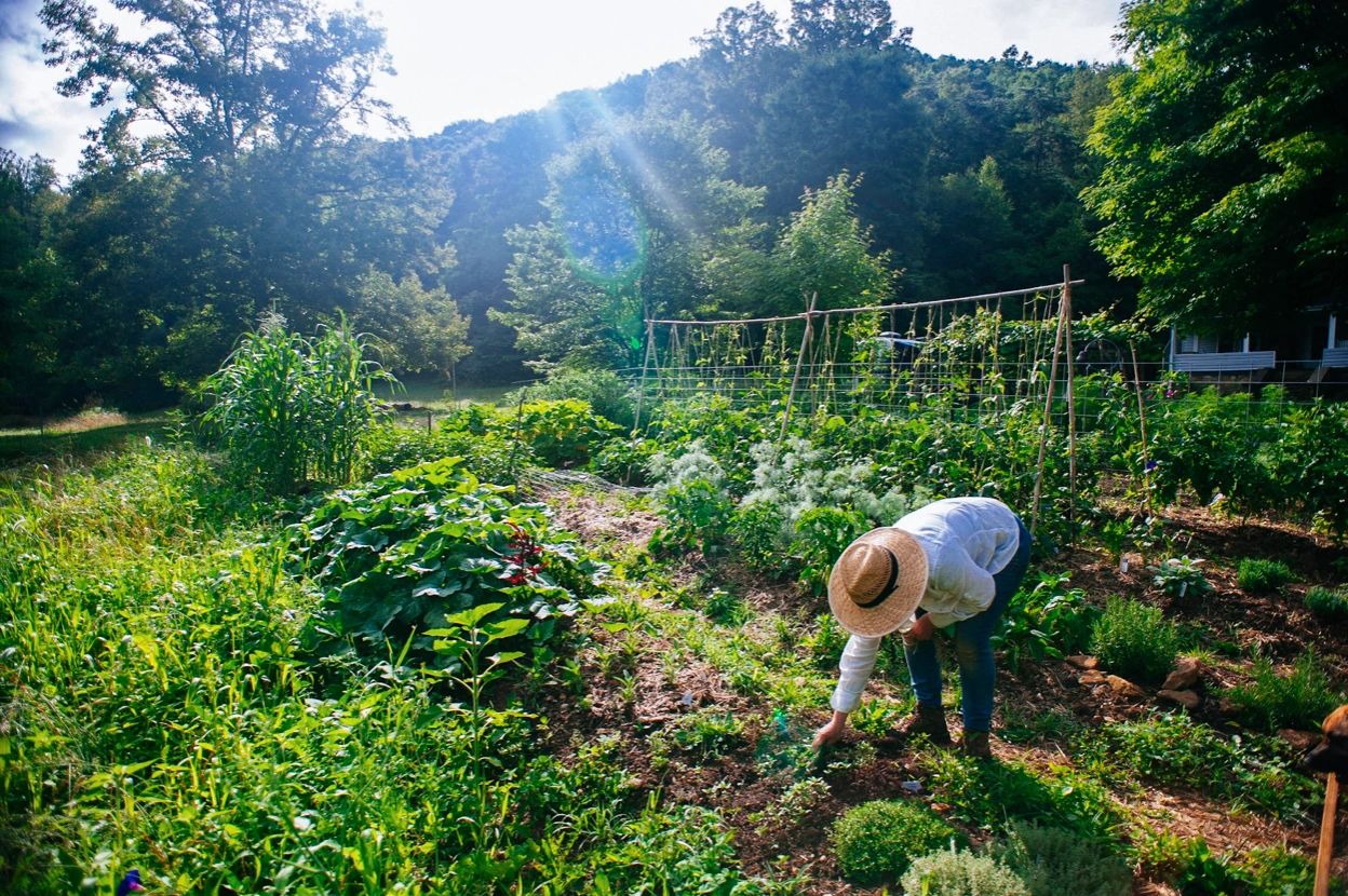 Stephanie in her garden